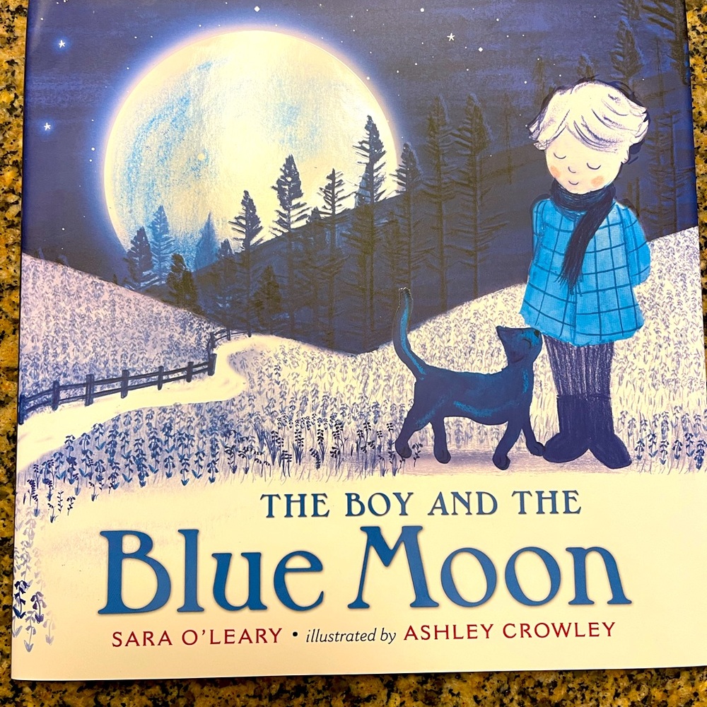 THe boy and the blue moon book